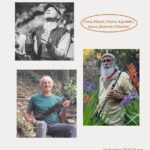 🎶 Concert with Open Hearts – Concierto con corazones abiertos